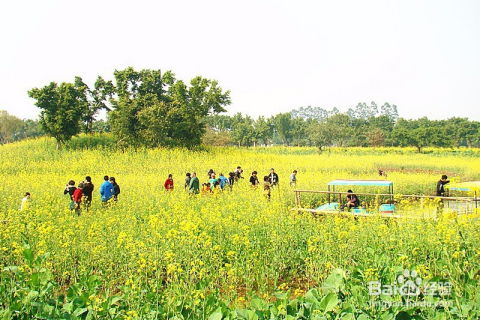 暢游鼎湖沙浦鎮(zhèn)天湖生態(tài)園