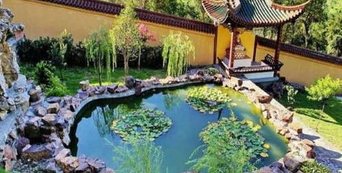 楊氏草莓生態(tài)園門票預訂攻略 價格、渠道與游玩指南