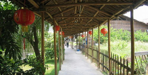 盈香生態(tài)園門票全攻略 預(yù)訂方式、價(jià)格信息與游玩指南