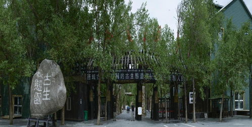 新疆古生態園 穿越時空的自然奇觀與生態寶庫