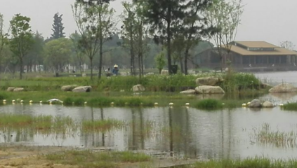 勝地公園 吳江最大的生態園，自然與人文的完美融合