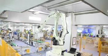 多美生物 以生物技術(shù)與大數(shù)據(jù)驅(qū)動(dòng)，打造“閃電式”一站式服務(wù)新標(biāo)桿