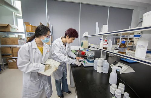 抓品質(zhì)重服務(wù)，海智生物專注品質(zhì)，倚夢(mèng)前行