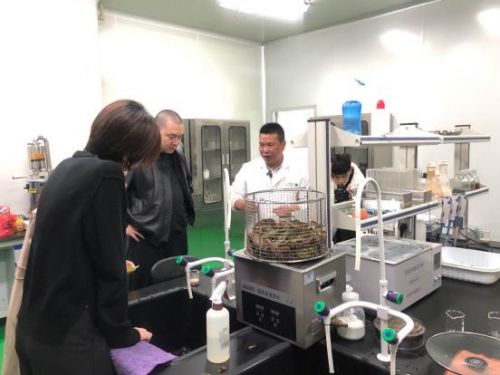 科技賦能農(nóng)業(yè)新篇章 CCTV 1聚焦云谷田園LED植物工廠，珍稀本草金線蓮成功培育引領(lǐng)生物技術(shù)新服務(wù)